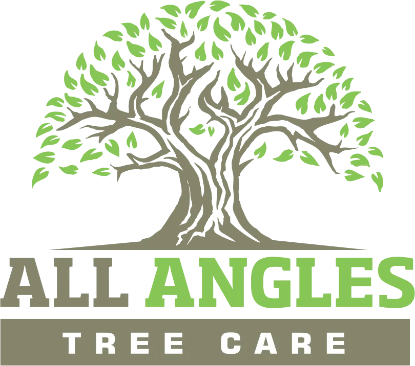 All Angles Tree Care