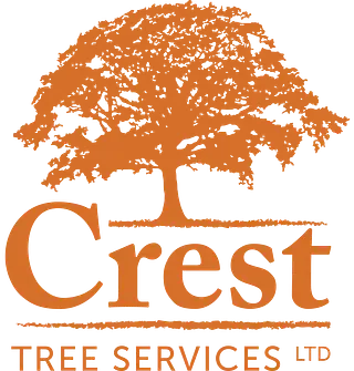 Crest Tree Services