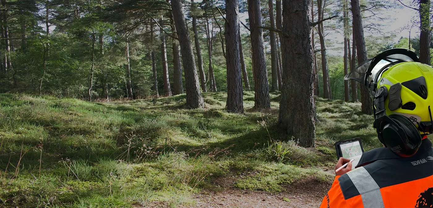An arborist in woodland using ArbHub on a mobile device